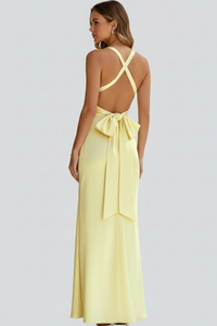 Women's Maxi Wedding Guest Dress with V Neckline and Crossback Straps